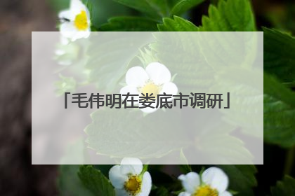 毛伟明在娄底市调研