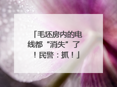 毛坯房内的电线都“消失”了！民警：抓！
