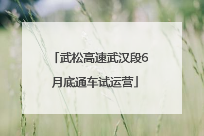 武松高速武汉段6月底通车试运营