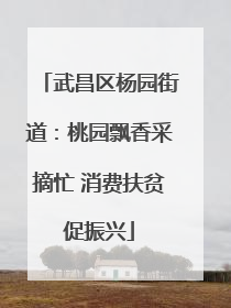 武昌区杨园街道：桃园飘香采摘忙 消费扶贫促振兴