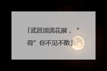 武昌顶流花展，“荷”你不见不散
