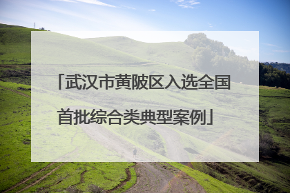 武汉市黄陂区入选全国首批综合类典型案例