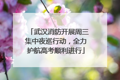 武汉消防开展周三集中夜巡行动，全力护航高考顺利进行