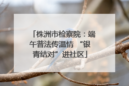 株洲市检察院：端午普法传温情 “银青结对”进社区