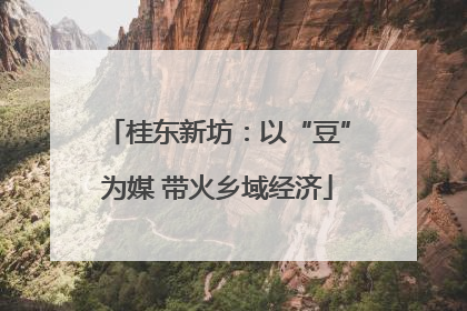 桂东新坊：以“豆”为媒 带火乡域经济
