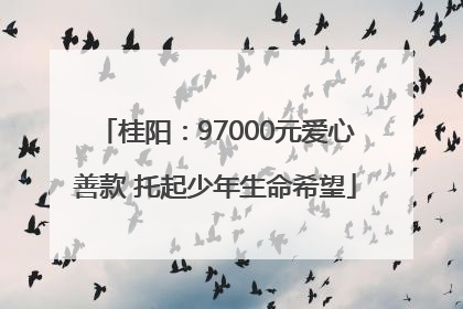 桂阳：97000元爱心善款 托起少年生命希望
