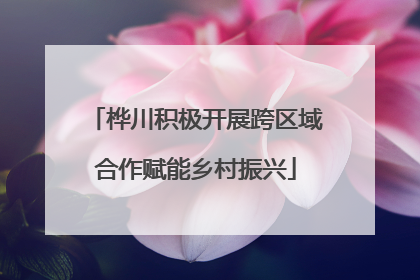 桦川积极开展跨区域合作赋能乡村振兴