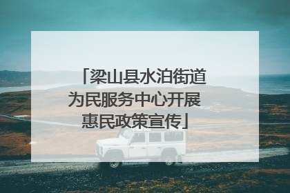 梁山县水泊街道为民服务中心开展惠民政策宣传