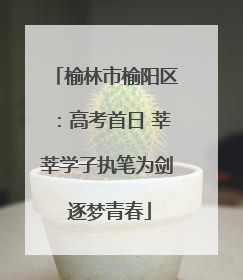 榆林市榆阳区：高考首日 莘莘学子执笔为剑 逐梦青春
