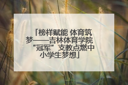 榜样赋能 体育筑梦——吉林体育学院“冠军”支教点燃中小学生梦想