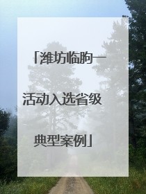 潍坊临朐一活动入选省级典型案例