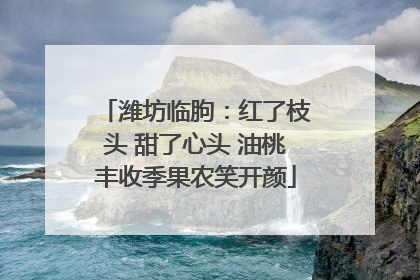 潍坊临朐：红了枝头 甜了心头 油桃丰收季果农笑开颜