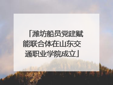 潍坊船员党建赋能联合体在山东交通职业学院成立