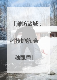 潍坊诸城：科技护航 金穗飘香