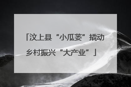 汶上县“小瓜蒌”撬动乡村振兴“大产业”
