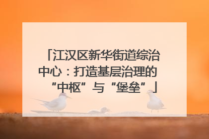 江汉区新华街道综治中心：打造基层治理的“中枢”与“堡垒”