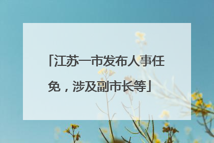 江苏一市发布人事任免，涉及副市长等