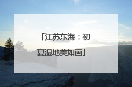 江苏东海：初夏湿地美如画