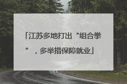 江苏多地打出“组合拳”，多举措保障就业