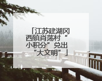 江苏建湖冈西镇肖荡村“小积分”兑出“大文明”