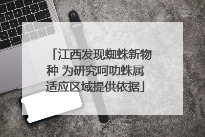 江西发现蜘蛛新物种 为研究呵叻蛛属适应区域提供依据