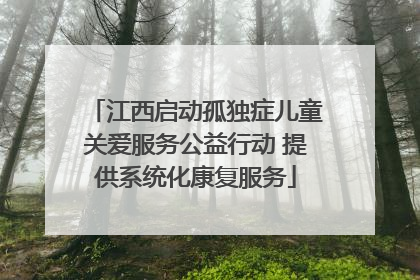 江西启动孤独症儿童关爱服务公益行动 提供系统化康复服务