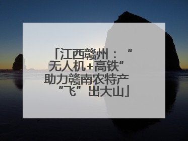 江西赣州：“无人机+高铁”助力赣南农特产“飞”出大山