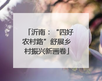 沂南：“四好农村路”舒展乡村振兴新画卷