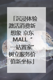 沉浸体验激活消费新想象 京东MALL“一站置家”树立服务价值新坐标