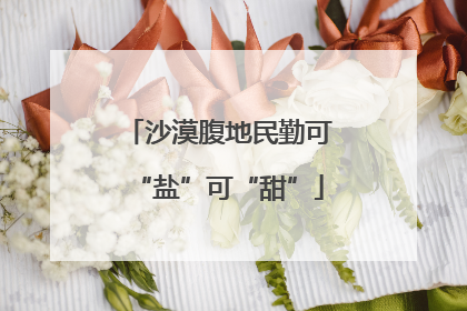 沙漠腹地民勤可“盐”可“甜”