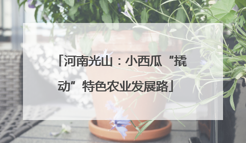 河南光山：小西瓜“撬动”特色农业发展路