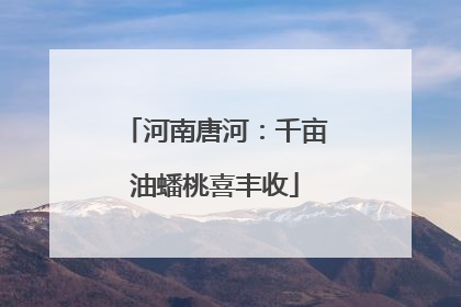 河南唐河：千亩油蟠桃喜丰收