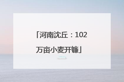 河南沈丘：102 万亩小麦开镰