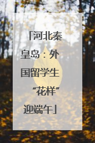 河北秦皇岛：外国留学生“花样”迎端午