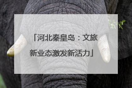 河北秦皇岛：文旅新业态激发新活力