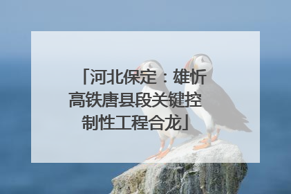 河北保定：雄忻高铁唐县段关键控制性工程合龙
