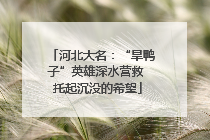 河北大名：“旱鸭子”英雄深水营救 托起沉没的希望