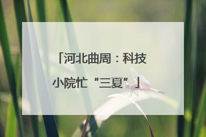 河北曲周：科技小院忙“三夏”