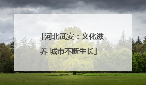 河北武安：文化滋养 城市不断生长
