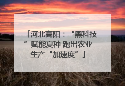 河北高阳：“黑科技”赋能夏种 跑出农业生产“加速度”