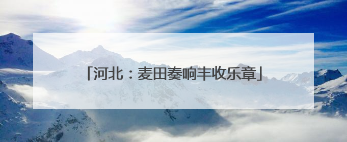 河北：麦田奏响丰收乐章