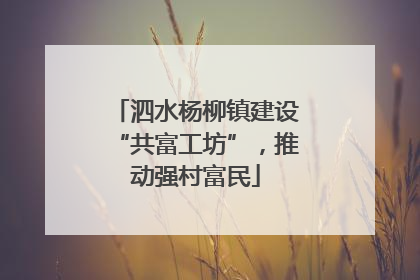 泗水杨柳镇建设“共富工坊”，推动强村富民
