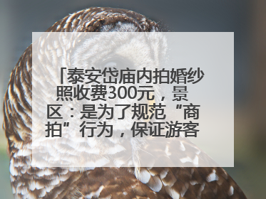 泰安岱庙内拍婚纱照收费300元，景区：是为了规范“商拍”行为，保证游客体验，收取费用全部上交国库