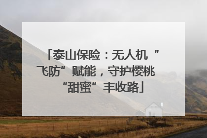 泰山保险：无人机“飞防”赋能，守护樱桃“甜蜜”丰收路