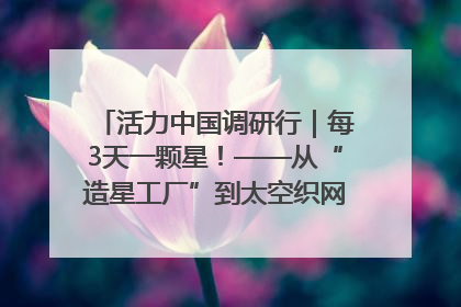 活力中国调研行｜每3天一颗星！——从“造星工厂”到太空织网的“银河速度”