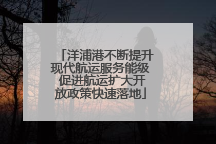 洋浦港不断提升现代航运服务能级 促进航运扩大开放政策快速落地