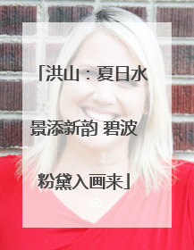 洪山：夏日水景添新韵 碧波粉黛入画来
