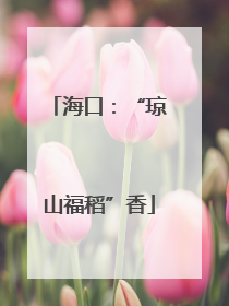 海口：“琼山福稻”香