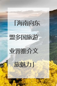 海南向东盟多国旅游业界推介文旅魅力