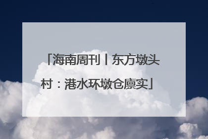 海南周刊丨东方墩头村：港水环墩仓廪实